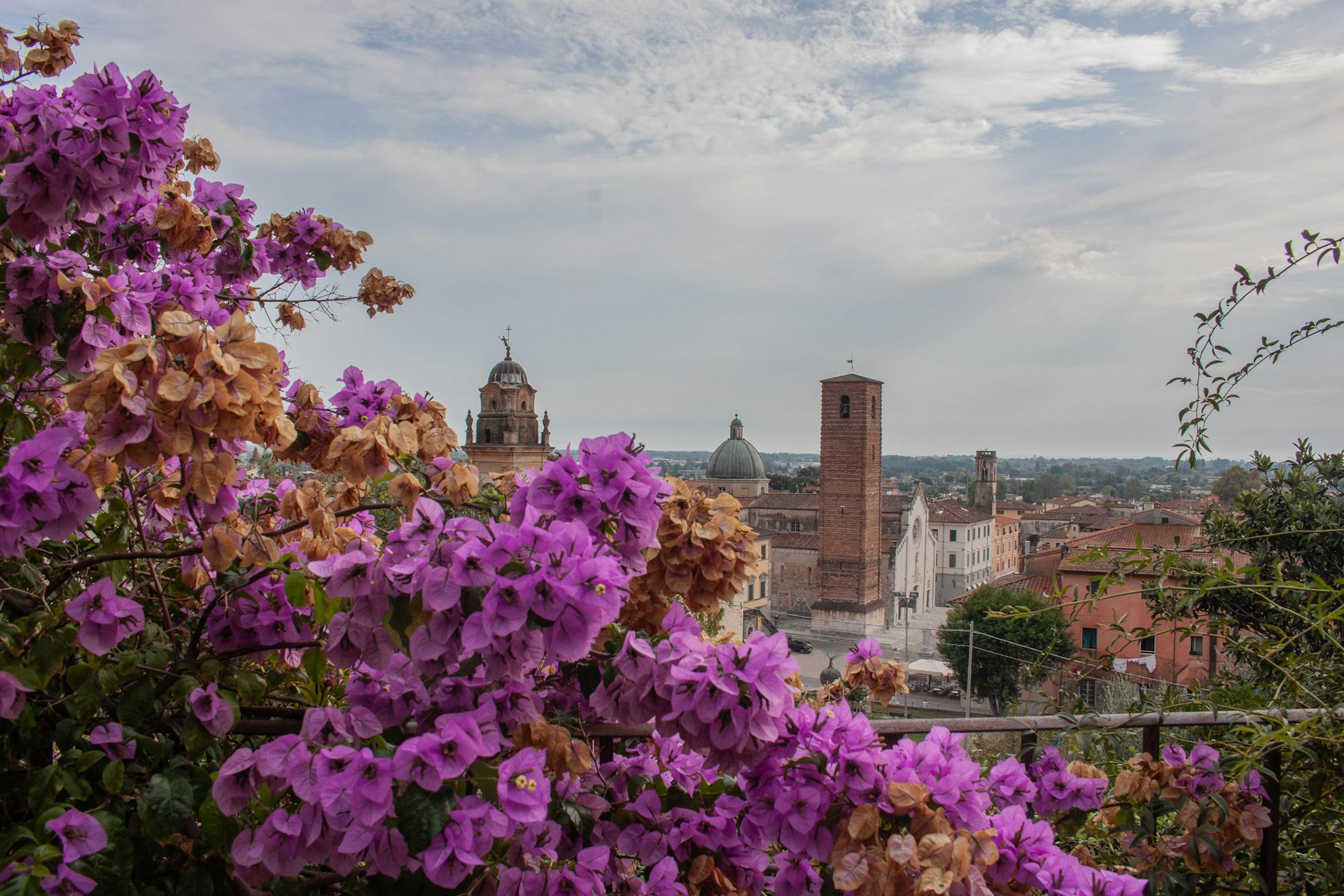 Lucca